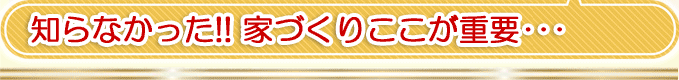 ホームページをご観の方にプレゼント